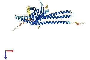 AlphaFold protein structure predicition of Mouse Recombinant Snx7 Protein, UniprotID Q9CY18