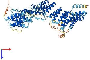 AlphaFold protein structure predicition of Mouse Recombinant Fancg Protein, UniprotID Q9EQR6