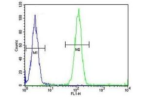 ACCN1 antibody flow cytometric analysis (intracellular) of human WiDr cells (right histogram) compared to a negative control (left histogram).