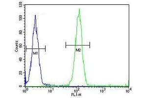 ACCN1 antibody flow cytometric analysis (intracellular) of human WiDr cells (right histogram) compared to a negative control (left histogram). (ACCN1 anticorps  (AA 120-148))