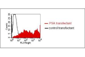 FACS analysis of BOSC23 cells using LT-3D2. (Prostate Specific Antigen anticorps)