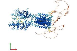 AlphaFold protein structure predicition of Human Recombinant PTCH2 Protein, UniprotID Q9Y6C5