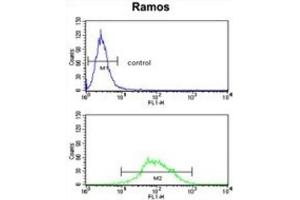 Flow Cytometry (FACS) image for anti-Eukaryotic Translation Elongation Factor 1 delta (Guanine Nucleotide Exchange Protein) (EEF1D) antibody (ABIN3002663)