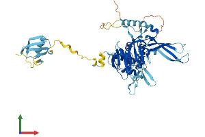 AlphaFold protein structure predicition of Mouse Recombinant Usp14 Protein, UniprotID Q9JMA1