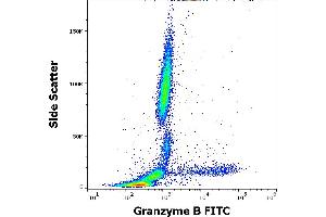 Flow cytometry intracellular staining pattern of human peripheral whole blood stained using anti-human Granzyme B (CLB-GB11) FITC antibody (4 μL reagent / 100 μL of peripheral whole blood). (GZMB anticorps  (FITC))