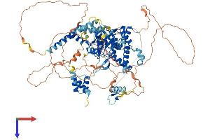 AlphaFold protein structure predicition of Human Recombinant OTUD7B Protein, UniprotID Q6GQQ9