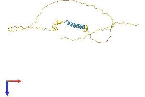 AlphaFold protein structure predicition of Human Recombinant TCEAL6 Protein, UniprotID Q6IPX3
