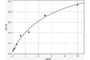 Typical standard curve (SCRG1 Kit ELISA)
