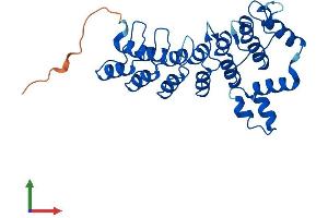 AlphaFold protein structure predicition of Human Recombinant ASB13 Protein, UniprotID Q8WXK3