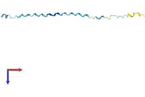 AlphaFold protein structure predicition of Human Recombinant SPRR2G Protein, UniprotID Q9BYE4