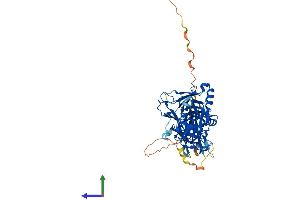 AlphaFold protein structure predicition of Human Recombinant RBPJ Protein, UniprotID Q06330