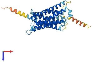 AlphaFold protein structure predicition of Human Recombinant MRGPRE Protein, UniprotID Q86SM8