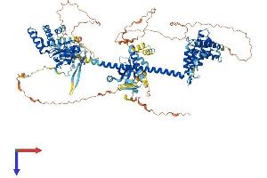 AlphaFold protein structure predicition of Human Recombinant BRD1 Protein, UniprotID O95696