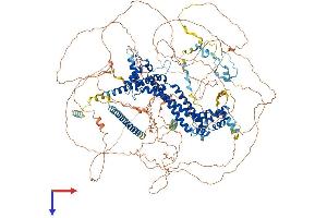 AlphaFold protein structure predicition of Human Recombinant FMN1 Protein, UniprotID Q68DA7