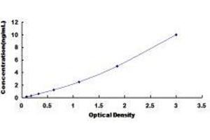 Topoisomerase (DNA) II beta 180kDa (TOP2B) ELISA Kit