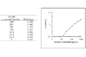 Caspase 1 (CASP1) ELISA Kit