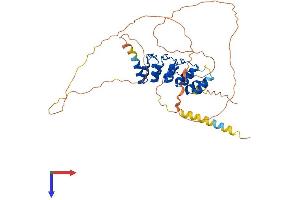 AlphaFold protein structure predicition of Human Recombinant ANKRD10 Protein, UniprotID Q9NXR5