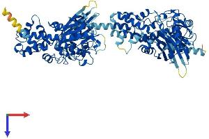 AlphaFold protein structure predicition of Mouse Recombinant Hk2 Protein, UniprotID O08528