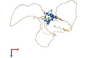 AlphaFold protein structure predicition of Human Recombinant ETV2 Protein, UniprotID O00321
