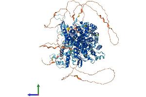 AlphaFold protein structure predicition of Human Recombinant SOS1 Protein, UniprotID Q07889