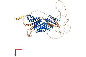 AlphaFold protein structure predicition of Human Recombinant GPSM2 Protein, UniprotID P81274