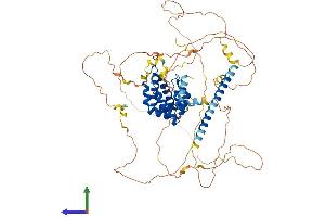 AlphaFold protein structure predicition of Human Recombinant EPN2 Protein, UniprotID O95208