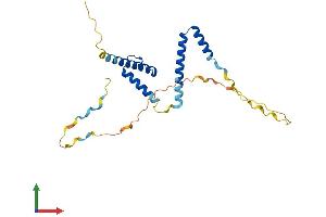 AlphaFold protein structure predicition of Human Recombinant HES7 Protein, UniprotID Q9BYE0