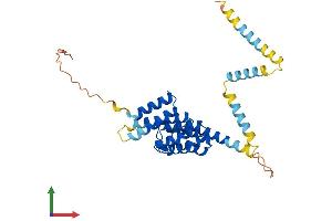 AlphaFold protein structure predicition of Human Recombinant PEX26 Protein, UniprotID Q7Z412