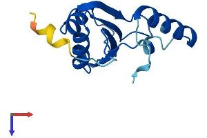 AlphaFold protein structure predicition of Human Recombinant SF3B6 Protein, UniprotID Q9Y3B4