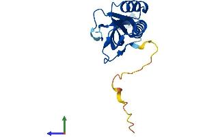 AlphaFold protein structure predicition of Mouse Recombinant Rpp25l Protein, UniprotID Q99JH1