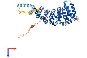 AlphaFold protein structure predicition of Mouse Recombinant Hspbp1 Protein, UniprotID Q99P31