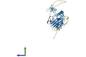 AlphaFold protein structure predicition of Mouse Recombinant Trim16 Protein, UniprotID Q99PP9