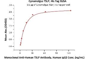 Immobilized Cynomolgus TSLP, His Tag (ABIN6973299) at 5 μg/mL (100 μL/well) can bind Monoclonal A TSLP Antibody, Human IgG2 with a linear range of 1-16 ng/mL (Routinely tested).