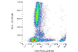 Flow cytometry analysis (surface staining) of human peripheral blood with anti-CD20 (2H7) PE-DyLigt® 594. (CD20 anticorps  (PE-DyLight 594))