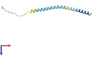 AlphaFold protein structure predicition of Mouse Recombinant Fate1 Protein, UniprotID Q8CEK7