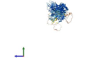 AlphaFold protein structure predicition of Mouse Recombinant Trappc9 Protein, UniprotID Q3U0M1