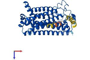 AlphaFold protein structure predicition of Mouse Recombinant Paqr8 Protein, UniprotID Q80ZE5