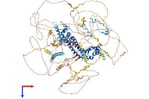 AlphaFold protein structure predicition of Mouse Recombinant Fmn1 Protein, UniprotID Q05860