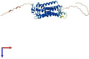 AlphaFold protein structure predicition of Human Recombinant LPAR1 Protein, UniprotID Q92633