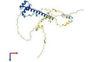 AlphaFold protein structure predicition of Mouse Recombinant Tlx2 Protein, UniprotID Q61663