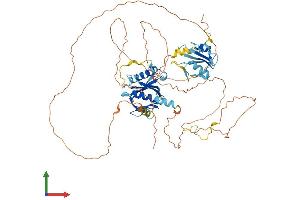 AlphaFold protein structure predicition of Human Recombinant SHC4 Protein, UniprotID Q6S5L8