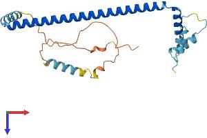 AlphaFold protein structure predicition of Mouse Recombinant Clta Protein, UniprotID O08585