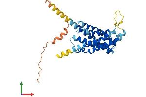 AlphaFold protein structure predicition of Mouse Recombinant Hacd1 Protein, UniprotID Q9QY80