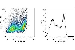 Intracellular staining of SCIMP in a population of HEK-293T-SCIMP transfectants using monoclonal antibody (clone NVL-07, purified).