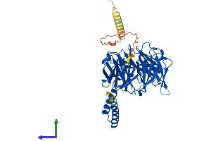 AlphaFold protein structure predicition of Mouse Recombinant Tbl2 Protein, UniprotID Q9R099