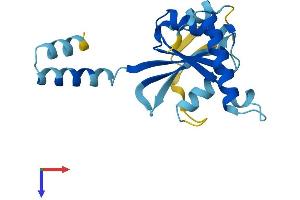 AlphaFold protein structure predicition of Human Recombinant IRGM Protein, UniprotID A1A4Y4