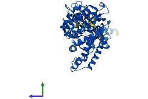AlphaFold protein structure predicition of Human Recombinant CYP2S1 Protein, UniprotID Q96SQ9