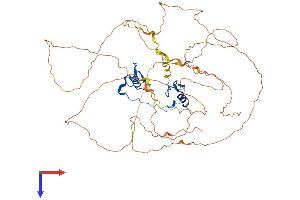 AlphaFold protein structure predicition of Human Recombinant GATA6 Protein, UniprotID Q92908