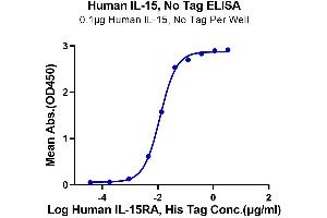 Immobilized Human IL-15 at 1 μg/mL (100 μL/Well) on the plate. (IL-15 Protein (AA 49-162))