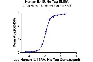 Immobilized Human IL-15 at 1 μg/mL (100 μL/Well) on the plate. (IL-15 Protéine)